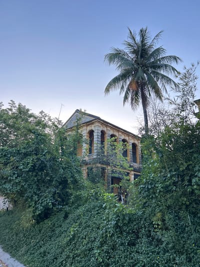 This image captures an old, yellow, two-story building with arched windows, partially obscured by dense, green foliage. A tall palm tree with coconuts stands prominently behind the structure. The scene appears to be set in a tropical or subtropical environment, given the vegetation. The sky is a clear, light blue, suggesting it is daytime. The building's architecture suggests it might be a historical or colonial-era structure. The surrounding greenery includes bamboo and various leafy plants, creating a somewhat overgrown and neglected atmosphere. A small section of a concrete pathway or edge is visible in the lower left corner of the image. This location is specifically Hội An Ward, Vietnam.