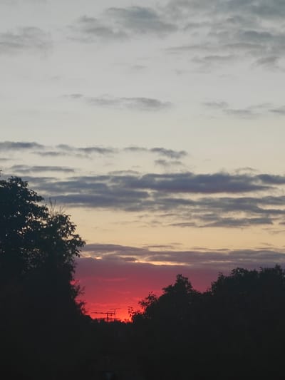 The image captures a dramatic sunset over the city of Hadiach, Ukraine. Silhouetted against a vibrant crimson sky are the dark shapes of trees and rooftops, with a prominent antenna structure visible near the horizon. The sky transitions from the intense red of the sunset to softer hues of orange and yellow, eventually fading into a pale gray at the top of the frame, where wispy clouds are scattered. The foreground is dominated by the dark, unidentifiable silhouettes of foliage and man-made structures, suggesting a view from a residential area or a natural overlook within Hadiach.