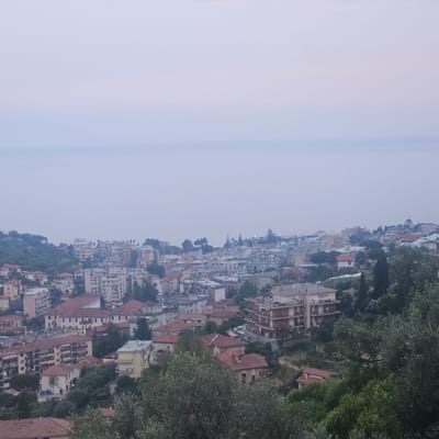 The image captures a cityscape of Sanremo, Italy, from an elevated viewpoint. The scene is dominated by a dense arrangement of buildings, mostly low-rise, with red-tiled roofs. Amidst the urban landscape, trees and vegetation punctuate the spaces between buildings, suggesting a blend of urban and natural elements. In the background, a hazy body of water stretches towards the horizon. The sky is overcast, creating a soft, muted light that bathes the entire scene.