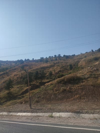 The image depicts a dry, grassy hillside with sparse trees, characteristic of the arid landscape found in and around Mujikharv, Tajikistan. A clear blue sky dominates the upper portion of the frame, with power lines strung across it. The hillside itself is covered in dry, brown vegetation, with scattered green trees and bushes. A rough, dirt road or path is visible in the foreground, with a concrete curb separating it from the hillside. A wooden utility pole stands on the hillside, with wires attached to it. The overall scene suggests a rural or semi-rural area, possibly on the outskirts of Mujikharv. There are no people or animals visible in the image.