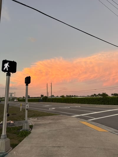 The image displays an urban street intersection at dusk in the city of Lely, United States of America, under a sky illuminated by the setting sun. In the foreground, a concrete sidewalk curves to the right, featuring a yellow tactile warning strip at the curb. Two metal poles rise from the sidewalk. The pole on the left supports a black pedestrian crosswalk signal, illuminated with a white 'walk' symbol. The pole to its right features a black pedestrian call button unit, which includes a small integrated camera or sensor.

The midground is dominated by an asphalt road with multiple lanes, clearly marked by solid white lines, dashed white lines, and white painted arrows indicating straight-ahead and left-turn directions. A grassy median or shoulder separates the road lanes. Beyond the road, a dense, manicured green hedge runs horizontally across the frame. Behind this hedge, numerous palm trees and multiple utility poles with overhead power lines are visible. A single white vehicle, possibly an SUV or pickup truck, is partially visible in the far distance on the road.

The sky above is a prominent feature, displaying a large formation of horizontally stretched, textured clouds intensely colored with hues of orange, pink, and yellow, indicative of sunset. The very top portion of the sky is a lighter blue-grey. Overhead black utility wires cross the upper part of the image. No individuals are present, and no active interactions or movements are depicted in the scene.