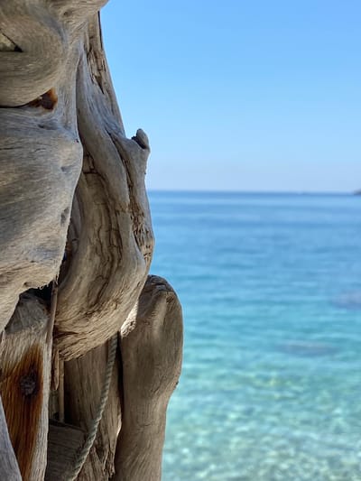 The image is a close-up, shallow depth of field shot of weathered, textured wood in the foreground, with a blurred turquoise sea and a clear blue sky in the background. The wood appears to be driftwood, with prominent grain patterns, knots, and rough surfaces. A thin rope is visible, draped over one of the wooden elements. The sea is calm with visible pebbles beneath the surface near the shore, and a distant landmass or island is faintly visible on the horizon. The sky is a gradient of light blue. The image does not depict the city of Prijevor, Montenegro, but rather a natural coastal scene.