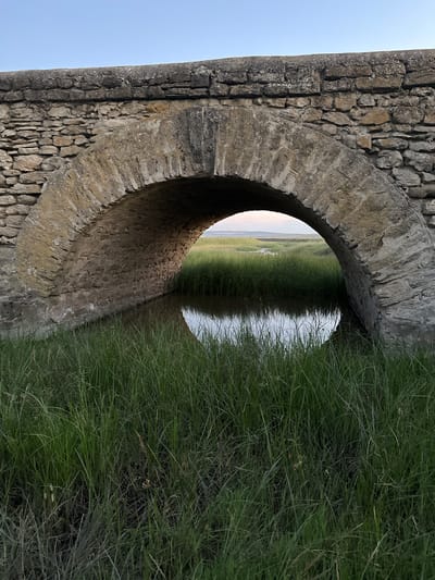 The image shows a close-up, vertically oriented view of a circular stone archway looking out onto a grassy plain. The archway is constructed from rough-hewn, aged stones, with a weathered, textured surface. To the left of the arch, the stonework continues, forming a wall that meets a clear, pale blue sky, suggesting it's daytime. The interior of the archway is dim and shows the earthy texture of the tunnel.

Through the arch, a wide expanse of tall, green grass dominates the scene, extending towards a hazy horizon. The grass appears lush and slightly overgrown, with some blades catching the light. In the distance, the landscape is indistinct, blending into a muted sky that suggests either dawn or dusk. The overall impression is one of natural beauty and a sense of looking through a portal to a tranquil, rural setting. The scene is devoid of people or any discernible text. The location context of Filipeni, Moldova, places this rural landscape in Eastern Europe. The lighting suggests it is either early morning or late evening.