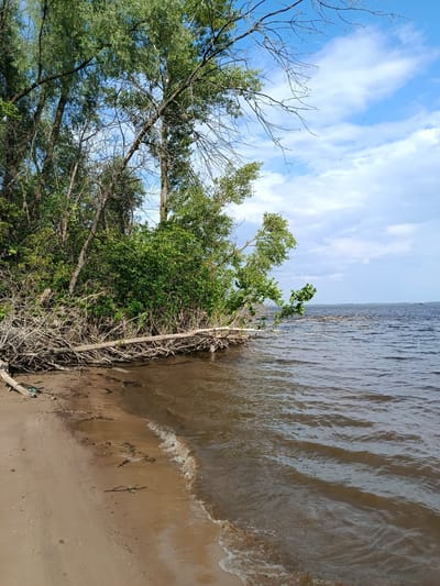 The image depicts a natural scene of a sandy shore bordering a large body of water, possibly a river or lake, under a cloudy blue sky. Lush green foliage and trees line the bank, with some branches extending over the water and a fallen tree trunk resting on the shore. The water is dark and rippled, with small waves lapping at the sand. In the distance, a faint silhouette of a boat can be seen on the horizon. The overall impression is one of a serene, natural landscape. The location is identified as Voskresensky District, Russia, suggesting a rural or natural setting within that region. There are no people or animals visible in the image, and no specific actions or interactions are taking place. The scene is static and captures a moment in time, focusing on the natural elements of the environment.