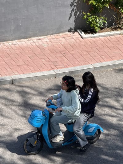 Two young women are riding an electric scooter in Zhongtun, China. The scooter is blue. One woman wears a light green sweatshirt, gray pants, and sneakers, and is seated in front. The other woman wears a black jacket with white stripes, gray pants, and sneakers, and is seated behind. They are on a gray paved surface next to a red brick sidewalk. A small patch of green foliage is to the left of the sidewalk. Shadows of trees are cast on the pavement.