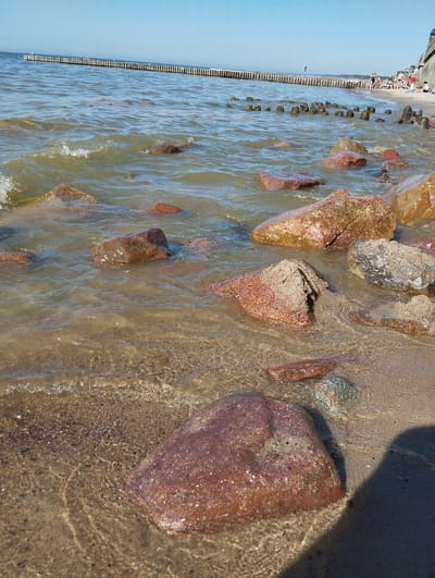 This media file captures a sunny day at Zelenogradsk, Russia. The scene is a beach with the Baltic Sea in the foreground. Numerous rocks of various sizes are scattered along the shoreline and in the shallow water, some partially submerged. The water is a murky green and appears slightly choppy with small waves lapping against the shore. In the distance, a wooden breakwater stretches out into the sea, with more wooden posts visible closer to the shore, indicating coastal defense or a pier structure. Beyond the water, a sandy beach is visible with a few people relaxing and sunbathing. The sky is clear and blue, suggesting good weather. The time of day appears to be late morning or early afternoon, given the bright sunlight casting shadows. There are no visible text elements in the image. The overall atmosphere is one of a calm, seaside environment on a pleasant day.