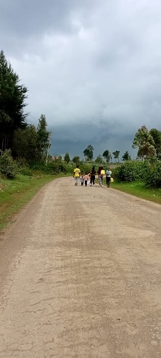 An unpaved, light brown dirt road, exhibiting visible cracks and textured surfaces, extends from the foreground into the distance, curving slightly in Kinale ward, Kenya. Along the road in the middle ground, a group of approximately seven individuals is walking away from the camera. This group consists of four adults and three children. One adult male on the far left of the group wears a yellow shirt. Another adult on the far right carries a light-colored container or bag. The road is flanked by dense green vegetation, including tall coniferous trees on the left side closer to the foreground, and various deciduous trees and bushes extending along both sides into the background. The sky is overcast with heavy, dark grey clouds visible towards the horizon.