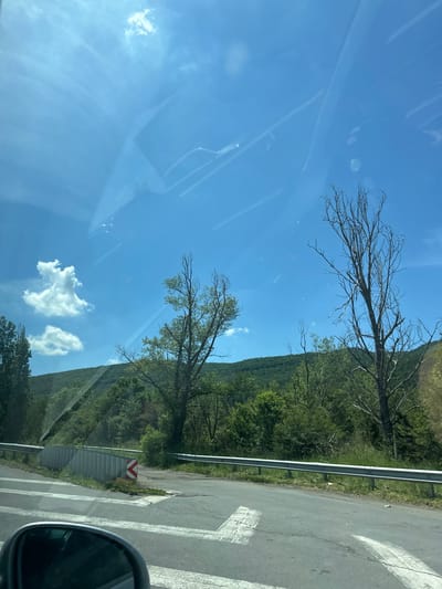 The image captures a view from a vehicle traveling on a road in Lozen, Bulgaria, on a sunny day with a clear blue sky and scattered clouds. The foreground shows a portion of the road with white lane markings, a car's side mirror, and a guardrail. Beyond the road, a lush green hillside is visible, covered in trees and vegetation. Two trees stand out in the mid-ground; one is full of green leaves, while the other appears dead and bare, with intricate branch structures against the sky. The scene suggests a rural or semi-rural setting within the Lozen area, characterized by natural landscapes.