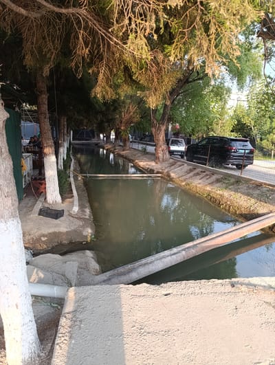 The image depicts an outdoor scene in Fergana City, Uzbekistan. A narrow canal filled with murky green water runs through the center of the frame. The canal is bordered by a dirt path and a row of trees with rough bark, their branches casting dappled shadows. Several of these trees have their trunks painted white.
On the left side of the canal, a structure resembling an open-air cafe or seating area is visible. Green metal sheeting forms part of the wall, and a few people are seated at a table, engaged in conversation. A black plastic crate sits on the ground nearby.
Across the canal, on the right bank, a dirt path runs alongside a chain-link fence. Beyond the fence, there is a road with two cars parked: a black SUV and a white minivan. Lush green trees and foliage line the background, suggesting a warm, possibly sunny day. The lighting indicates it is either early morning or late afternoon, with the sun casting long shadows. The overall atmosphere appears relaxed and informal. There is no visible text in the image.