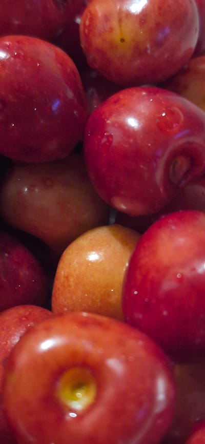 The image is a close-up, vertically oriented shot of a pile of red and orange fruits, likely cherries or plums. The fruits are plump and shiny, with some appearing to have water droplets on their surface, indicating freshness or recent washing. The lighting creates bright highlights on the fruits, emphasizing their smooth texture. The arrangement is dense, with many fruits overlapping, creating a shallow depth of field where some fruits are in sharp focus while others are blurred. The color palette is dominated by rich reds and vibrant oranges, with some darker, blurred areas suggesting a background or additional fruits out of focus. There are no discernible environmental elements such as buildings, natural landscapes, or urban features. The image does not depict any people or actions. The location in Kryvyi Rih, Ukraine, is not visually represented within the image itself.