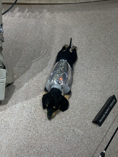 An overhead view captures a taxidermied black and tan dachshund lying prone on a light gray speckled floor, presented as an exhibit in 성동구, South Korea. The animal is fitted with an elaborate, custom-designed garment featuring a silver-toned, highly reflective exterior embellished with numerous clear rhinestones and a prominent, centrally illuminated red LED light on its back. The garment's sides are composed of a metallic mesh fabric. To the far left, a portion of a larger, light-colored display stand with metallic and crystal accents is visible. In the bottom right quadrant, a black, triangular prism-shaped sign with white capital letters reads "PLEASE DON'T TOUCH." A black cord or rope, likely part of a stanchion system, extends from below this sign and exits the frame. The scene is illuminated by uniform artificial lighting, typical of an indoor exhibition space.