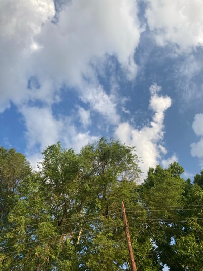 This is an outdoor, low-angle shot of a bright blue sky filled with white, fluffy clouds. Lush green trees, seen from below, dominate the right side of the frame, their leaves creating a dense canopy. A wooden pole, possibly part of a structure or decoration, is suspended horizontally across the trees, held up by numerous thin ropes or wires. The scene suggests a daytime setting, with natural sunlight illuminating the clouds and foliage. The overall impression is one of a peaceful, natural environment, possibly a park or a backyard, in a location with warm weather. No visible text is present.