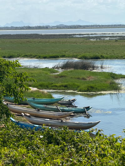 The image depicts a serene waterscape near Arugam Bay, Sri Lanka. In the foreground, a collection of narrow, canoe-like boats are lined up on the grassy bank of a body of water. These boats are of various muted colors, including turquoise, off-white, and blue. Lush green foliage frames the bottom left of the image.
Beyond the boats, a wide expanse of water stretches out, bordered by dense green grasses and reeds. The water's surface is rippled, reflecting the light. In the middle ground, more grassy areas are interspersed with calm water.
In the distance, a hazy landscape of rolling hills and mountains is visible under a pale blue sky with scattered clouds. A thin, tall structure, possibly a radio tower, stands out against the distant mountain range. The overall scene conveys a sense of tranquility and natural beauty.