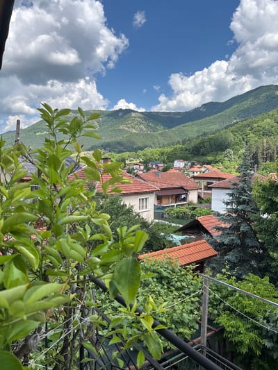 This is a medium shot, landscape-oriented photograph taken from a slightly elevated perspective, likely a balcony or upper window. The scene depicts a quaint village nestled at the foot of a verdant, tree-covered mountain. The sky is a vibrant blue, punctuated by fluffy white clouds.

In the foreground, a branch with bright green leaves hangs into the frame, obscuring some of the view. Behind the leaves, the rooftops of several houses are visible, characterized by their red tile roofs. These homes appear to be spread out and integrated into the natural landscape. Some houses have visible architectural details like windows and balconies. In the distance, the mountain slopes rise steeply, densely covered with lush green trees, suggesting a mountainous or hilly terrain. The overall setting evokes a sense of rural tranquility and natural beauty.

The time of day appears to be daytime, given the bright sunlight and blue sky. The weather seems pleasant, with a mix of sun and clouds. The location is identified as Zgorigrad, Bulgaria, which aligns with the visual cues of a European village set against a mountainous backdrop. There is no discernible activity or event taking place; the image captures a static, scenic view. No text is visible in the image. The overall mood conveyed is peaceful and idyllic, highlighting the harmonious coexistence of human habitation and nature.