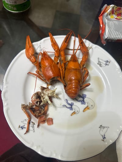 The image displays two cooked crawfish on a white plate with blue and white patterned drawings of geese. One crawfish is intact and whole, while the other appears to be partially eaten or broken apart, with its shell and legs scattered on the plate. The plate is resting on a dark, reflective surface, possibly a table. In the background, a green can and a crumpled silver and orange bag are partially visible. The scene does not provide any information to determine its location in the city of Armavir, Russia.