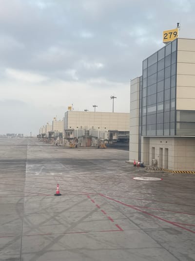 The scene depicts an airport apron and a section of a terminal building at Ürümqi Diwopu International Airport (URC) in Ürümqi, China. The sky is uniformly overcast, casting a muted light over the environment.

In the foreground, a concrete tarmac extends across the lower portion of the image. It features numerous red painted lines, some solid and some dashed, marking operational areas. White ground markings are also present, including a circular shape with a red border near the terminal. The tarmac surface appears wet, with visible tire tracks and puddles reflecting the dull light. A single red and white traffic cone stands upright on the tarmac in the left-center.

To the right, a multi-story terminal building displays a façade constructed from light-beige panels and large, dark-tinted rectangular windows. A prominent yellow sign bearing the number "279" is mounted on the roof of this section of the terminal. Below the windows, a section of the building features a textured, light-colored block design, with two small, vertical metal doors or access panels. An orange traffic cone is visible at the base of the terminal wall, accompanied by a series of low bollards.

Extending into the background, a long row of similar terminal sections and multiple gray jet bridges are visible. The jet bridge nearest to the foreground terminal section appears retracted. Further along the line, another terminal section displays a yellow sign with the number "280". Each jet bridge is connected to the terminal, and some ground support equipment, such as small yellow vehicles, can be partially seen near the bases of the distant jet bridges. Tall light poles with multiple floodlights are positioned across the apron, rising above the terminal structures. No individuals or aircraft are visible in the depicted scene.
