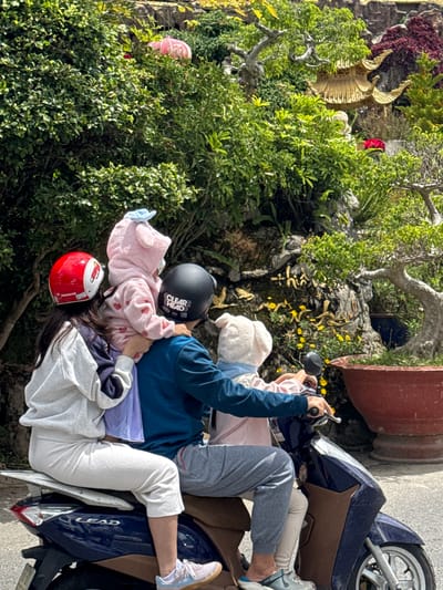 Four individuals, two adults and two children, are seated on a dark blue and brown scooter. The scooter is moving on a paved road, suggesting it is in an urban or semi-urban setting. The two adults are in the front, with the driver wearing a black helmet labeled "CLEAR HEAD" and a dark blue long-sleeved shirt. Beside the driver, a passenger wears a red helmet and a light gray hooded sweatshirt over a dark blue garment and white pants. Both adults are holding or supporting a child. The first child, positioned in front of the driver, is wearing a pink hooded outfit with heart patterns and a light blue bow on their head. The second child, sitting in front of the passenger, is wearing a white hooded outfit.
The background features a lush, green hillside with abundant foliage. A decorative element, possibly a statue or structure, with intricate golden details and a pagoda-like roof is visible amidst the greenery. Several trees, including bonsai, are present, and a large terracotta pot is also visible. The overall environment suggests a scenic and possibly tourist-oriented location within the city of Lâm Viên - Đà Lạt, Vietnam. The lighting indicates it is daytime, with bright sunlight casting shadows.
