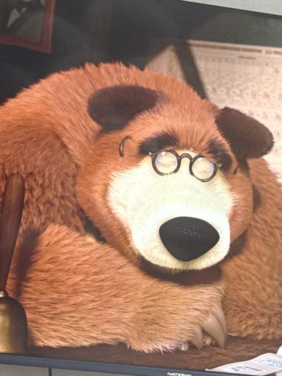 This media file shows a close-up of a stuffed toy bear. The bear is brown with darker brown markings around its eyes and ears. It is wearing small, round, wire-rimmed glasses. The bear's nose is a large, black, oval shape. Its fur appears soft and fluffy. One of the bear's paws is visible, with blunt claws. The bear is lying down, with its head tilted upwards. In the background, there are hints of a room, including what appears to be a patterned wallpaper and possibly a wooden frame or furniture. Part of a dark object, possibly a gavel, is visible in the foreground, resting on the bear. A narrow, dark vertical element with some text is visible on the right side of the frame. The lighting suggests an indoor setting. The image does not provide information about the time of day, weather, or specific emotions, other than the gentle and perhaps slightly whimsical appearance of the toy. No specific location cues for Yousovo, Russia are evident within the image itself. The text on the right side of the image includes the word "NATIONAL" in capital letters.