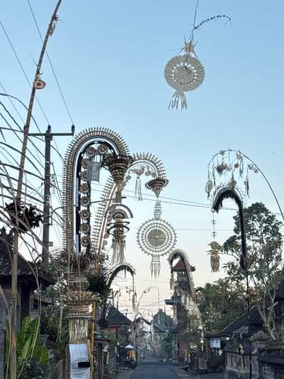 The image depicts a street scene in Payangan, Indonesia, adorned with elaborate decorations. Tall poles line the street, from which numerous intricately woven ornaments made of natural materials, likely bamboo and palm leaves, hang. These decorations are in the form of circular and crescent shapes, some with fringed ends, and appear to be suspended by strings or thin wires. Several of these decorative elements are quite large and elaborate, arching over the road.
The street itself is paved and appears to be a quiet thoroughfare. On either side of the street, traditional Balinese-style buildings with dark roofs and stone walls are visible. Lush green foliage, including large-leafed plants and trees, are interspersed among the buildings and decorations. Utility poles with numerous wires are also present, suggesting that this is a populated area. The sky is clear and pale blue, indicating it might be early morning or late afternoon. In the distance, the street recedes and becomes narrower, with more buildings and decorations lining its path. A few glimpses of what might be people or parked vehicles are visible further down the street, but they are not distinct. The overall impression is one of a festive or ceremonial occasion, given the extensive and detailed decorations.