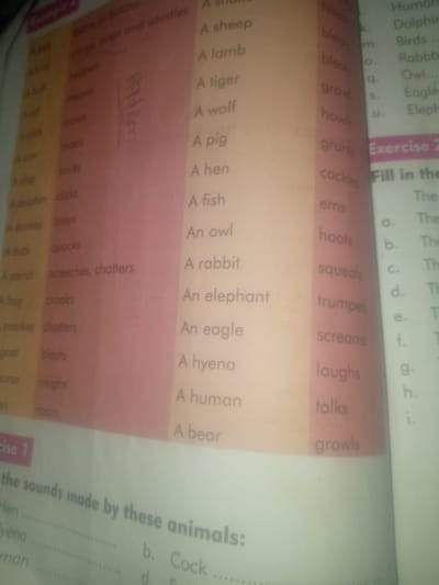 The image is a close-up of a page from a children's educational book, likely a workbook. The page is divided into columns, with lists of animals and their corresponding sounds. The text appears to be in English, with some handwritten annotations. The book's content focuses on animal sounds, with titles like "Animal Sounds" and "Exercise 1" and "Exercise 2" visible. The overall impression is that of a learning activity, possibly for young children, designed to teach them about the noises animals make. The lighting suggests an indoor setting, and the page itself shows some signs of use, typical for educational materials. The specific handwritten marks might indicate answers or practice by a student.