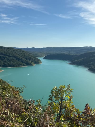 A high-angle, eye-level shot captures a sweeping vista of the Lac de Vouglans in Moirans-en-Montagne, France. The expansive turquoise water dominates the frame, with gentle ripples indicating a calm surface. The lake is nestled within rolling, densely forested hills that stretch into the distance, their slopes covered in a vibrant green canopy. The sky above is a clear, pale blue with wispy white clouds scattered sparsely. In the foreground, the edge of a rocky, overgrown embankment is visible, with dried leaves and branches adding texture. A small white boat with a visible wake is moving across the water, indicating activity on the lake. The overall scene is one of natural beauty and tranquility.