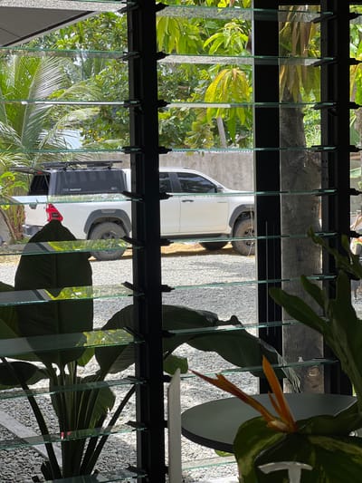 The image shows a white Toyota Hilux pickup truck parked on a gravel lot, seen through a louvered window. The truck has a black SmartCap canopy and a roof rack. Tropical foliage, including palm trees and leafy plants, is visible in the background and foreground, some of which are partially obscuring the view of the truck. The overall setting appears to be an outdoor area, likely in a tropical climate. The image is likely taken from inside a building in General Luna, Philippines.