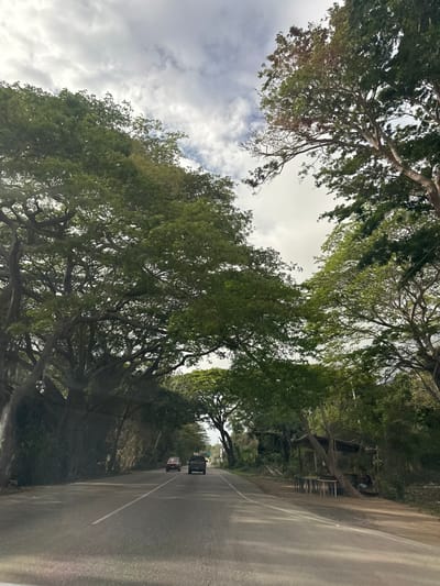 The image depicts a two-lane asphalt road in La Asunción, Venezuela, flanked by dense, mature trees whose branches form a canopy over the roadway. The sky above is overcast with scattered clouds. Two vehicles, a red car and a dark pickup truck, are traveling away from the camera in the right lane. On the right side of the road, there is a roadside stand with a thatched roof, wooden tables, and what appear to be fruits for sale. A person is partially visible behind the stand. The environment is lush and green, suggesting a tropical or subtropical climate.