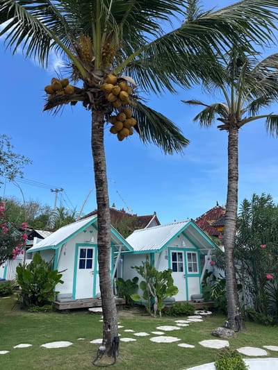 In Nusa Penida, Indonesia, two small, white bungalow-style accommodations with teal trim are situated amidst lush greenery. The structures feature peaked, white corrugated metal roofs and white doors with a teal cross design. One bungalow is labeled "SMALL". Both have wooden porches with small cushions. Two prominent coconut trees stand in the foreground, one with a large cluster of yellow coconuts hanging from its fronds. The ground is covered in green grass with irregular white stepping stones forming a path. In the background, other buildings with red tiled roofs are visible, along with power lines and a bright blue sky. The scene evokes a tropical, serene atmosphere.