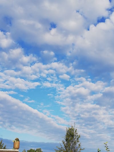 The image captures a daytime scene with a bright blue sky filled with scattered white and grey clouds. In the lower portion of the image, the tops of several trees are visible, along with a cylindrical object topped with greenery, possibly a planter or a chimney. The scene is framed from a low angle, emphasizing the vastness of the sky. The image does not depict any people or specific urban elements that would identify it as being in Новапагосцкі сельскі Савет, Belarus. The environment appears to be outdoors in a natural or semi-natural setting.