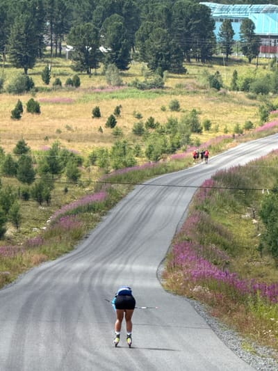 An exterior, eye-level, medium shot captures a lone female skier on roller skis ascending a paved road in T/B Seminskii Pereval, Russia. She faces away from the camera, wearing a blue and black racing suit, black shorts, and white socks. Her roller skis are black and yellow, and she holds two ski poles. The road curves upward into the distance, flanked by a grassy slope dotted with purple flowers. In the background, a group of four people, presumably also skiers, are visible further up the road. The environment is rural, with trees and a light blue building visible in the far distance beyond the rolling hills. The lighting suggests a sunny day, with shadows indicating midday sun.