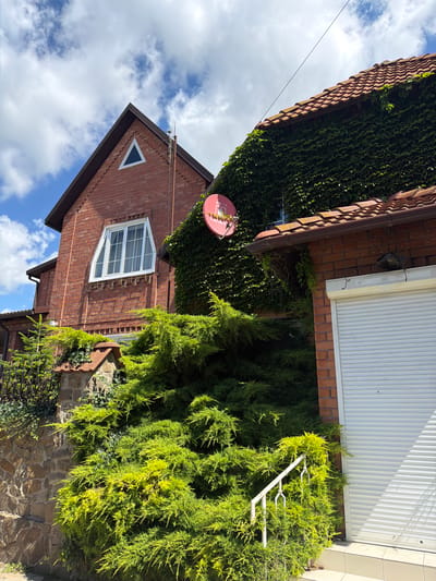 A low-angle medium shot captures the exterior of a brick house in Leningradskaya, Russia. The house features a tiled roof, a prominent triangular window on its upper left, and a satellite dish mounted on the exterior wall. The wall is partially covered in dense green ivy. In the foreground, a large, vibrant green evergreen shrub dominates the scene, with some parts appearing yellow-green. A stone wall is visible to the left of the shrub, and a white railing leads up to a closed white garage door on the right side of the image. The sky above is blue with scattered white clouds.