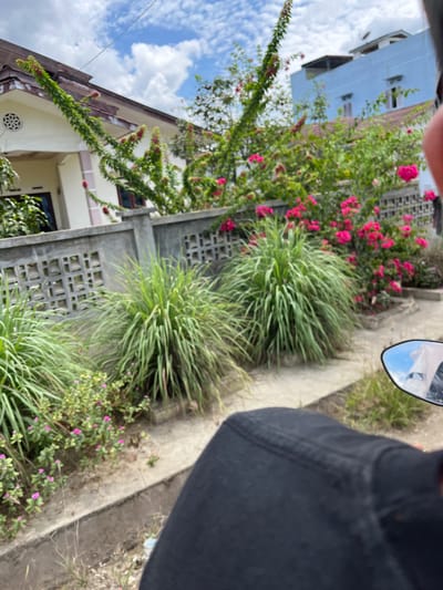 The image shows a street scene in Langsa, Indonesia, with a house and a blue building in the background. A concrete wall with decorative cutouts separates the foreground from the background. Lush green plants, including what appears to be lemongrass and pink flowering bushes, are visible in the foreground. The perspective suggests the photo was taken from a moving vehicle, possibly a motorcycle, as indicated by the side mirror reflecting the sky and a portion of the rider's leg and black clothing. The sky is partly cloudy.