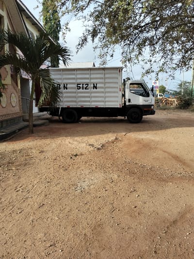 The image captures an outdoor scene featuring a white box truck parked on a dry, unpaved dirt and gravel ground. The truck, which appears to be a light-duty or medium-duty commercial vehicle, has a white cab and a white, ribbed box body. Prominently displayed on the side of the box body are the characters "BN 512 N" in large, black stencil font. The truck is facing towards the right side of the frame.
To the left of the truck, a small, slender palm tree stands, partially obscuring the front of the truck's box body. Behind the palm tree and to the far left, a portion of a building with a light-colored facade, possibly cream or light pink, is visible. The building has some architectural details, including what looks like decorative circular elements and a sloped roof with dark trim. A metal handrail or fence is also visible in front of this building.
The ground in the foreground and extending around the truck is a reddish-brown dirt, showing some unevenness, tire tracks, and scattered small stones or debris.
In the background, overhead and to the right of the truck, are the branches of a large tree, possibly deciduous or sparsely leaved, casting some shadows and filtering the sunlight. Beyond the truck's cab and further in the background, there's a blue and red sign, partially visible, which might belong to a gas station or commercial establishment. Near this sign, a pile of cut wood or logs is stacked. Further to the right and in the distance, more green foliage and smaller trees are visible, along with a glimpse of what appears to be a small white vehicle.
The sky, visible above the large tree and in gaps, is bright, suggesting daytime, likely late morning or early afternoon, with ample natural light. The overall atmosphere is tranquil and appears to be in a rural or semi-urban setting.
