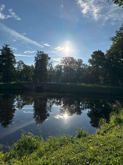 This image depicts a serene landscape likely located in the city of Pushkin, Russia, possibly within the grounds of the Catherine Palace or a similar park. The scene is dominated by a tranquil body of water, reflecting the clear blue sky, scattered white clouds, and the surrounding lush greenery. The sun is bright and positioned high in the sky, creating a gentle glare on the water's surface.
Along the far bank of the water, a dense line of mature trees forms a natural backdrop, their leaves a vibrant shade of green. Partially visible among the trees, an old brick bridge with a single arch spans the water, hinting at historical architecture often found in such locations. The foreground is characterized by a grassy embankment, densely covered with various types of grass and wildflowers, adding texture and color to the scene. The overall impression is one of natural beauty and peacefulness, typical of a well-maintained park in a historic setting. There are no people or animals visible in the image.