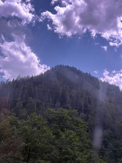 A mountain covered in dense evergreen trees dominates the frame. The slope of the mountain is steep and stretches from the bottom left to the upper right of the image. Several parallel power lines are strung across the foreground, obscuring parts of the mountain and the trees in front of it. In the lower foreground, the tops of deciduous trees with dark green foliage are visible. The sky above is a deep blue, with large, wispy white and purplish clouds scattered across it. A faint haze or mist appears to be rising from a section of the mountainside. The image was taken in Aziatskii, Russia.