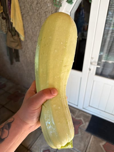 A hand with visible tattoos is holding a large, light-yellow zucchini. The zucchini is elongated and appears to be fresh, with water droplets on its surface. The background is blurred but suggests an outdoor setting, possibly a patio or backyard, with tiled flooring and part of a white window frame visible. The lighting indicates it is daytime, and the overall mood is neutral. No visible text is present in the image.