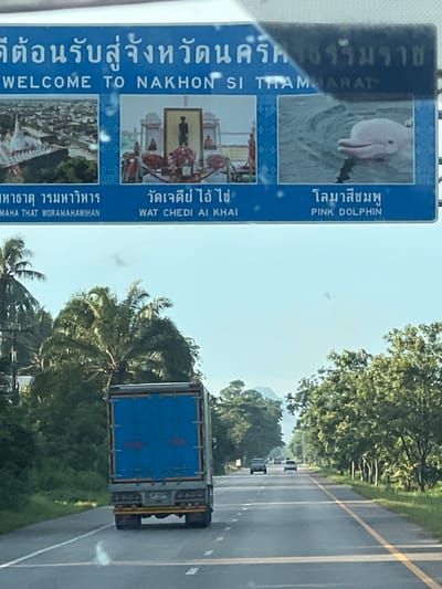 This is a vertical, eye-level, medium shot of a blue sign on the side of a road. The sign is divided into three sections. The top section features a pink dolphin swimming in water. Below the dolphin, the Thai text "โลมาสีชมพู" (Pink Dolphin) is written in white. The middle section of the sign displays a picture of a statue of a man in front of a building, with red flowers on either side. To the right of this image, the Thai text "วัดเจดีย์ไอ้ไข่" (Wat Chedi Ai Khai) is written in white, followed by "WAT CHEDI AI KHAI" in English. The bottom section of the sign shows a landscape view of buildings from above. To the right of this image, the Thai text "มหาธาตุ วรมหาวิหาร" (Maha That Woramahawihan) is written in white, followed by "MAHA THAT WORAMAHAWIHAN" in English.

The leftmost column of the sign has large Thai text at the top, which translates to "Welcome to Nakhon Si Thammarat Province." Below this, in English, it says "WELCOME TO NAKHON SI THAMMARAT."

The sign is placed next to a paved road with yellow and white lines. Trees line the side of the road, and a large blue truck with a closed trailer is visible on the road, heading away from the camera. The sky is light blue and appears clear. The overall impression is that of a roadside welcome sign in Thailand, highlighting local attractions. The time of day appears to be daytime, likely late morning or early afternoon, given the brightness of the sky. The weather seems fair.