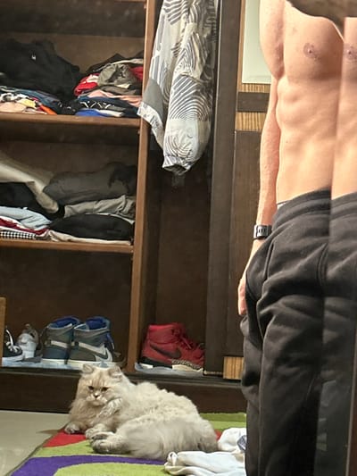 The image depicts an indoor residential scene within the city of Sarouja Municipality, Syria. In the foreground, a light-colored, long-haired cat is observed resting on a multicolored striped rug. To the right, a mirror reflects the upper torso of an adult male, displaying visible pectoral muscles; the male is wearing dark sweatpants and a dark wristband on his left arm. The background features a wooden shelving unit or wardrobe. This unit contains multiple shelves stacked with folded clothing items of various colors. On the lowest visible shelf, several pairs of athletic shoes are present, including a pair of blue-grey high-top sneakers and a pair of red high-top sneakers. A light-colored jacket with a dark geometric pattern hangs inside the wardrobe section to the right of the stacked shelves.