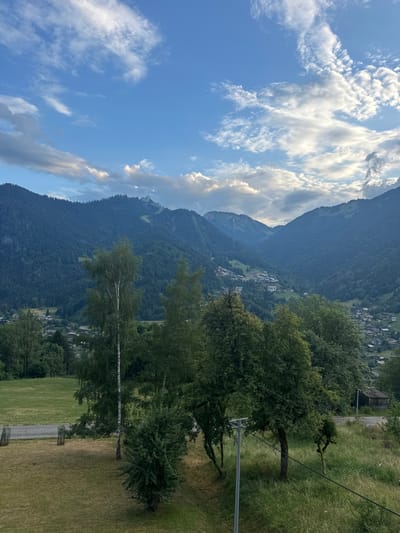 A panoramic outdoor image depicts a mountain valley landscape in Saint-Jean-d'Aulps, France, under a partially cloudy blue sky. The upper portion of the frame features a clear blue sky with scattered white cumulus and cirrus clouds. The mid-ground is dominated by a deep valley flanked by heavily forested mountains, their slopes covered in dense, dark green conifer and deciduous trees. Multiple small clusters of buildings, characteristic of villages, are visible within the valley floor and along the lower mountain slopes.
The foreground presents a grassy hillside with varied vegetation. Two tall, slender birch trees with light bark are centrally located. Surrounding them are numerous other deciduous trees and smaller shrubs with dense green foliage. In the lower-left corner, a segment of a paved road or path is visible, bordered by two light-colored, rectangular stone or concrete bollards or markers. In the lower-right, a silver-colored metal pole with a horizontal arm extends upwards from the bottom edge of the frame, and a dark cable runs diagonally across the lower-right quadrant. A small, dark, wooden structure resembling a shed is partially visible amidst trees on the right side of the valley. No human figures or animals are present. The scene is static, illuminated by natural daylight.