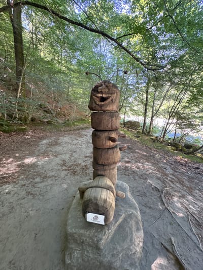 A wooden sculpture of a caterpillar stands on a rock beside a dirt path in a forest. The caterpillar is made of stacked, round wooden sections, with a carved face on the top section and smaller wooden protrusions for legs. The sculpture has two thin antennae with small round balls at the ends. A small white sign with a black logo and the text "PUBBLISTUDIO" is affixed to the rock. The surrounding environment is a forest with tall trees and dappled sunlight. A body of water is visible in the background, and rocks and fallen leaves are scattered on the ground. The image appears to be taken in the city of Verzasca, Switzerland, as indicated by the presence of the "PUBBLISTUDIO" sign which is a local business.