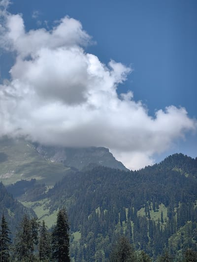 The image depicts a serene mountain landscape in Solang, India, characterized by lush green valleys, dense coniferous forests, and towering peaks. The sky above is a vibrant blue, dotted with fluffy white clouds, some of which partially obscure the mountains. The foreground is dominated by the dark green silhouettes of tall pine trees. Beyond them, the mid-ground showcases a steep, heavily forested mountainside. The background reveals higher, rocky mountain slopes, with patches of green vegetation clinging to them. A sense of tranquility and natural beauty pervades the scene.