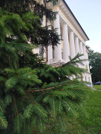 The media file captures a portion of a building with a classical architectural style, characterized by a row of white columns supporting a pediment. A large evergreen tree with dense, green needles partially obscures the building's facade, with its branches prominent in the foreground. The building appears to be light yellow, with visible windows and some architectural detailing along the roofline. A Ukrainian flag, predominantly blue and yellow, is visible attached to the side of the building. The scene is set against a pale, overcast sky, suggesting it is either early morning or late afternoon. The ground in front of the building is covered in lush green grass. A dark-colored car is visible in the background on the right side of the frame, parked on a paved surface near a set of steps leading up to the building. The overall impression is one of a serene and possibly historical location.