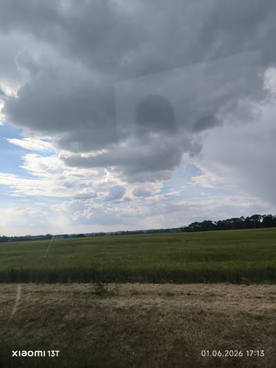A landscape scene from Żerniki, Poland, captured on 01.06.2026 at 17:13, features a green field under a cloudy sky. The foreground shows dried grass or vegetation, possibly a verge or roadside. The field extends into the midground, transitioning into a line of trees on the horizon. Overcast clouds dominate the sky, with patches of blue visible. Reflections on the glass suggest the photo was taken from indoors. The camera used was a Xiaomi 13T.