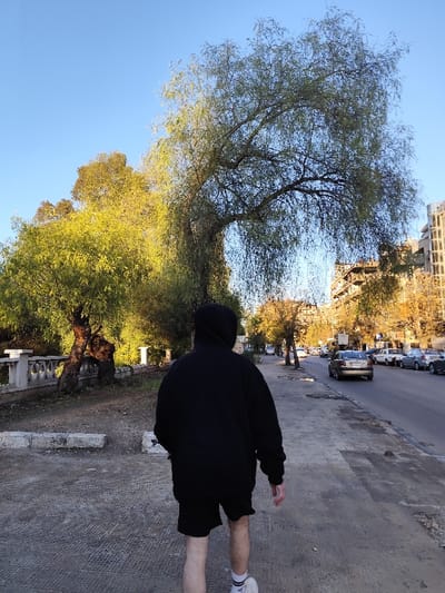 The image depicts an urban street scene in As-Salihiya Municipality, Syria, under a clear blue sky, illuminated by warm daylight suggestive of late afternoon or early morning.
In the foreground, a single individual is observed from behind, walking away from the camera on a concrete sidewalk. The person is wearing a black hooded sweatshirt with the hood up, black shorts, white athletic socks with black stripes, and white athletic shoes. Their bare legs are visible.
To the left of the sidewalk, a dirt or unpaved area is bordered by a low, white concrete balustrade or fence. Several trees populate this area, including a prominent large tree with a gnarled trunk and bright green-yellow foliage on the left, and a large tree with weeping branches and light green leaves further right.
To the right of the sidewalk, a paved asphalt road extends into the distance, lined with multiple parked cars. One silver-colored sedan is observed in motion, traveling away from the camera. Multi-story buildings, consistent with residential or commercial structures, line the far side of the street. The overall environment is an active urban thoroughfare.
