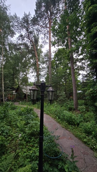 The image shows a path in a wooded area with a double-headed lamppost in the foreground. The path is made of irregular stone slabs and winds through lush green foliage. To the left of the path, a rustic wooden building with a dark roof is visible amongst the trees. The trees are tall and varied, with a mix of pines and deciduous trees. The sky is overcast, suggesting a cloudy day. The scene is likely a garden or park area.