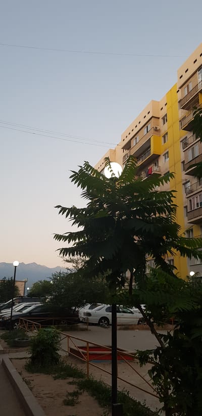 The image depicts an outdoor scene in Іргелі ауылдық округі, Kazakhstan. The foreground is dominated by lush green foliage from a tree, with its leaves and branches prominently displayed. Behind the tree, a bright yellow building with multiple floors and balconies is visible, suggesting an apartment complex. A large, round light fixture is attached to the building, and a thin wire hangs down from it.
In the mid-ground and background, several cars are parked. The sky is a pale, hazy blue, indicating it is likely daytime, possibly late afternoon or early evening given the soft lighting. In the far distance, mountains can be seen, their peaks lightly dusted with snow, adding to the natural landscape. The overall setting appears to be a residential area with a mix of urban structures and natural elements. There is no discernible activity or event taking place; the scene is static and observational. No text is visible in the image.