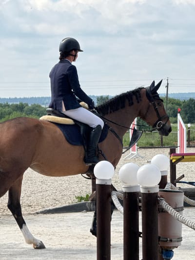 The image shows a horse and rider in an outdoor arena. The rider is wearing a dark blue jacket, white breeches, and a black helmet. The horse is a bay color with black mane and tail. The arena appears to be sand-covered. In the background, there are trees and power lines, suggesting a rural or semi-rural location. There are also some jumps and fencing visible, indicating this is likely a show jumping or equestrian event setting. The sky is cloudy. The image does not provide enough information to determine the specific location within a farm in Russia.