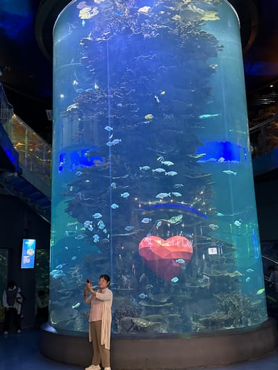 The image depicts the interior of an aquarium facility located in Shinan District, China. A massive, tall cylindrical tank, internally illuminated with a blue light, dominates the scene. The tank houses numerous marine fish of varying species and sizes, swimming among extensive artificial coral and rock formations. A large, geometric red heart-shaped object, partially inscribed with the text "Happy," is submerged in the lower section of the tank. In the foreground, a woman stands facing the tank, wearing a beige cardigan, a light pink top, and khaki pants, holding a red smartphone up to capture the scene. To the left, a glass-railed staircase ascends into the background, adjacent to a vertical digital display board showing an image of a fish. Other indistinct figures of patrons are visible in the dimly lit background.