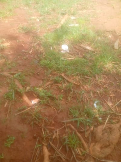 The image depicts an outdoor scene, likely in a natural or semi-natural environment, with predominantly reddish-brown soil and sparse green vegetation. The ground is uneven and appears to be somewhat damp in places. There are scattered pieces of debris, including dry plant matter, straw-like material, and what appear to be fragments of white plastic or paper. In the lower center of the image, a small, rectangular object with some orange and white markings is visible among the debris and vegetation. The lighting suggests it is daytime, with a warm, diffuse light source. The overall impression is one of an unkempt or neglected area. The image does not provide any specific clues to indicate its location within the city of Mayo Ndaga, Nigeria, beyond it being an outdoor environment. There are no people or discernible actions taking place within the frame.