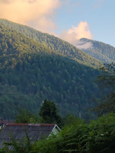 This image captures a serene mountain landscape at dusk in Krasnaya Polyana, Russia. The foreground is dominated by the corrugated roof of a rustic dwelling, partially obscured by lush green foliage and ferns. In the middle ground, a dense forest blankets the lower slopes of a majestic mountain. The mountain rises steeply into the background, its upper reaches shrouded in a soft mist that hints at higher altitudes and perhaps recent rain.
The sky above is a canvas of soft pastels. The setting sun casts a warm, golden glow on the clouds, illuminating them with hues of orange and yellow, while patches of clear blue sky are also visible. This interplay of light suggests the transition from day to evening, creating a tranquil and contemplative atmosphere. The overall scene is one of natural beauty and peaceful solitude, characteristic of a mountain village or rural area. There are no people or explicit activities depicted, allowing the viewer to focus on the grandeur of the natural surroundings and the subtle beauty of the light.